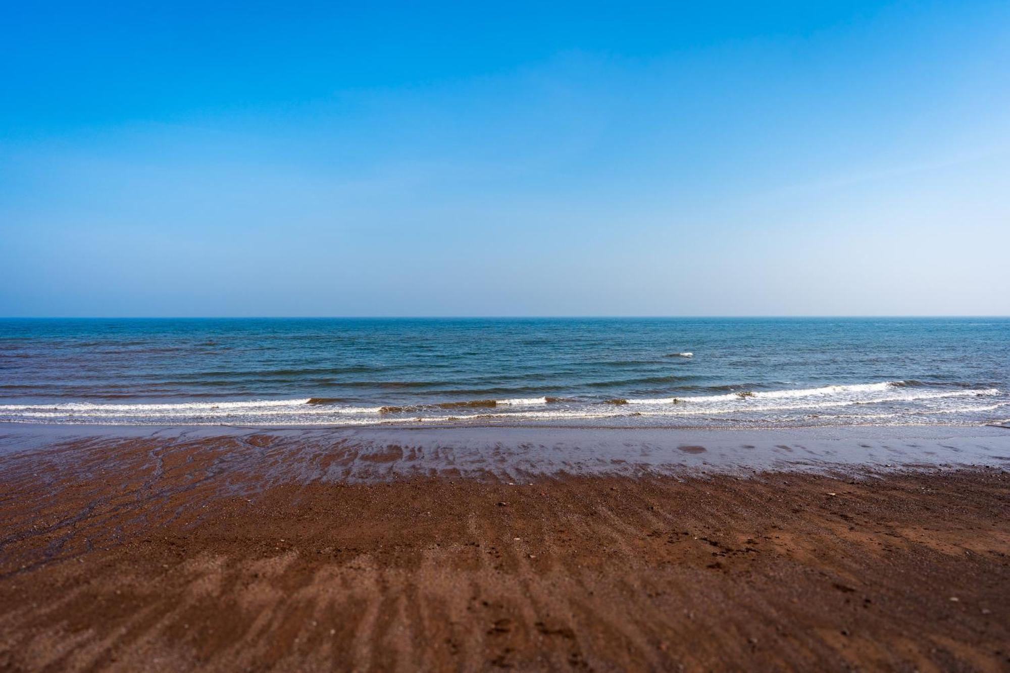 The Cottage - Characterful, Coastal Family Home With New Hot Tub Dawlish Esterno foto